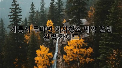 계룡시 두마면 이사청소 예약 꿀팁🍯 완벽 가이드!