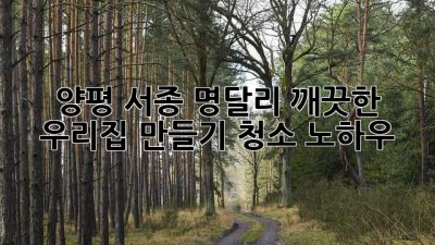 양평 서종 명달리, 깨끗한 우리집 만들기 청소 노하우