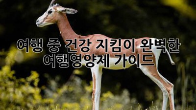 여행 중 건강 지킴이: 완벽한 여행영양제 가이드