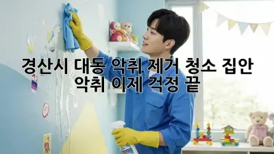 경산시 대동 악취 제거 청소: 집안 악취, 이제 걱정 끝!