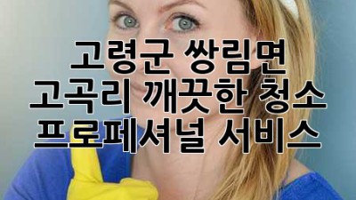 고령군 쌍림면 고곡리 깨끗한 청소: 프로페셔널 서비스